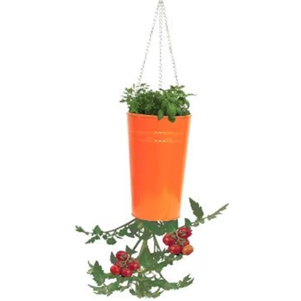 Enameled Galvanized Upsidedown Tomato, Pepper Hanging Planter - Tangerine, Next2Nature, Mfr#: NE2588674