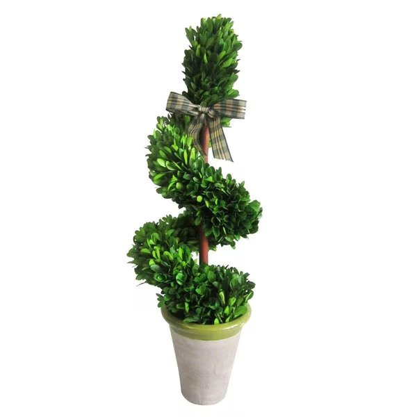 23 in. Boxwood Rotate Topiary Tree, Jeco, Mfr#: HD-BT005