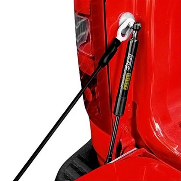 DZ43105 Truck Tailgate Assist for 2001 Chevrolet Colorado, Dee Zee, Mfr#: DE324882