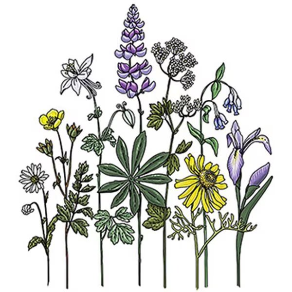 A Wildflowers Sticker, Sticker Art, Mfr#: 470157