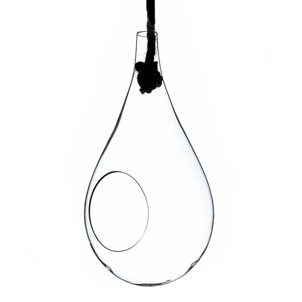 6 in Small Clear Rope Hanging Terrarium  Vase, Vista, Mfr#: VI1861851