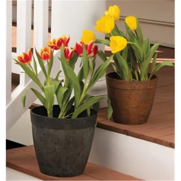 10 in. Round Dolce Planter - Rust, Book Publishing Co, Mfr#: GR2500120