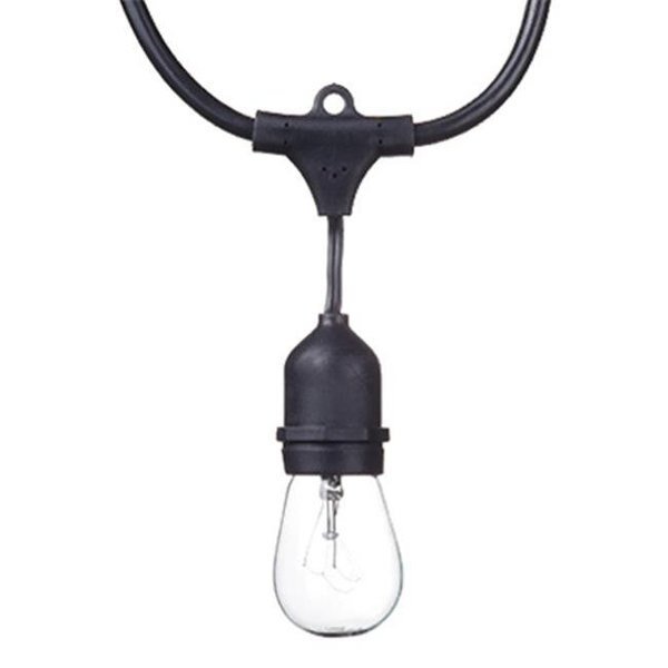 Globe Electric 241483 24 ft. 80 Lumens Dublin Collection S14 LED String Light Set; 12 Light, Globe Electric, Mfr#: 241483