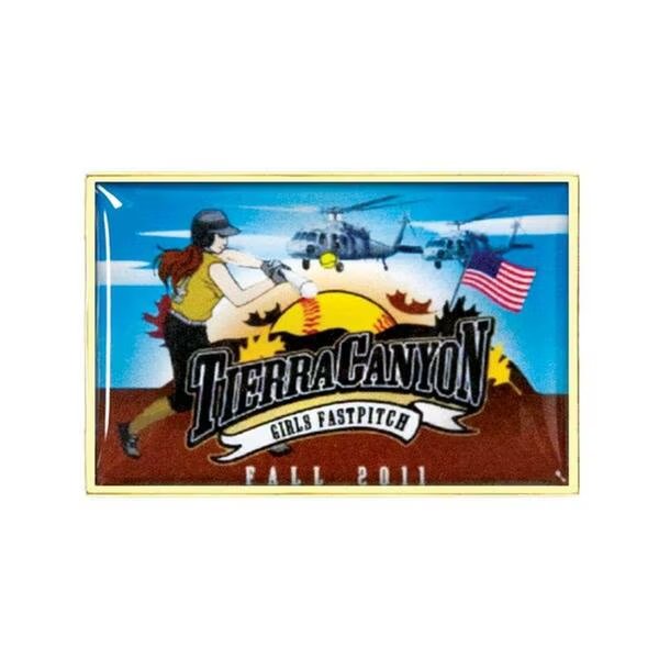 1 X 1.25 in. Rectangle Vibraprint Lapel Pin, Simba, Mfr#: EXPRESS-SP003