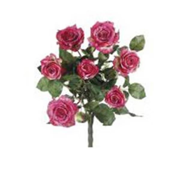 FBR054-RO-TT 21.5 in. Two Tone Rose Confetti Rose Bush X7- Case of 1, Allstate, Mfr#: FBR054-RO/TT