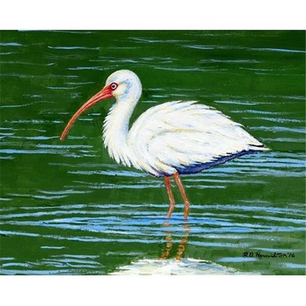 Betsy Drake DM378 Dicks White Ibis Door Mat; Small, Betsy Drake, Mfr#: DM378