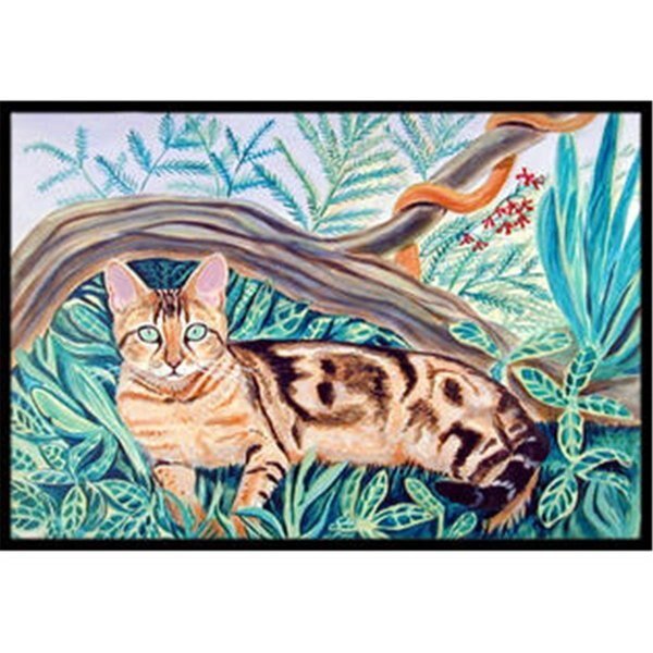 Cat - Maine Coon Indoor Or Outdoor Mat - 18 x 27 in., Beyondbasketball, Mfr#: BE1532094