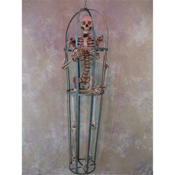 Iron Skeleton Cage With Aged Life-Size Skeleton, Skeletons And More, Mfr#: CAGE-200A