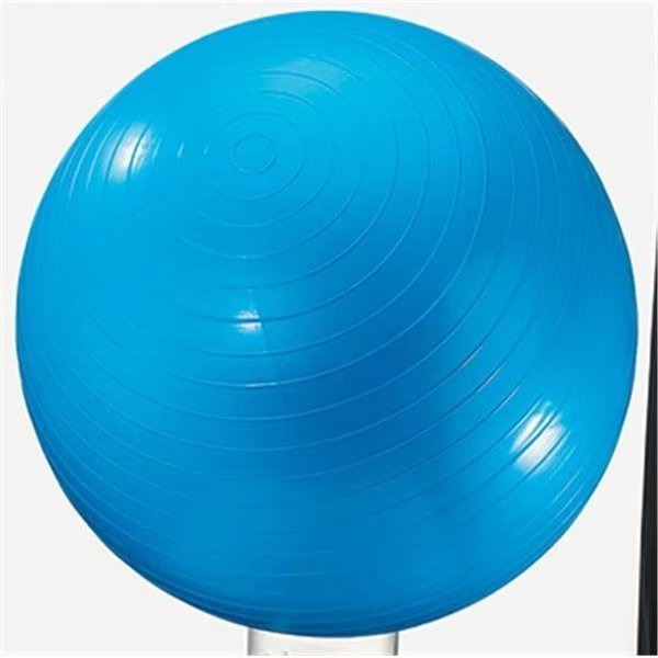 Dick Martin Sports Masgym24 Exercise Ball 24In Blue, Dick Martin Sports, Mfr#: MASGYM24