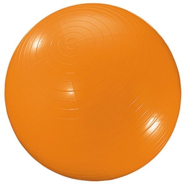 Dick Martin Sports Masgym34 Exercise Ball 34In Orange, Dick Martin Sports, Mfr#: MASGYM34