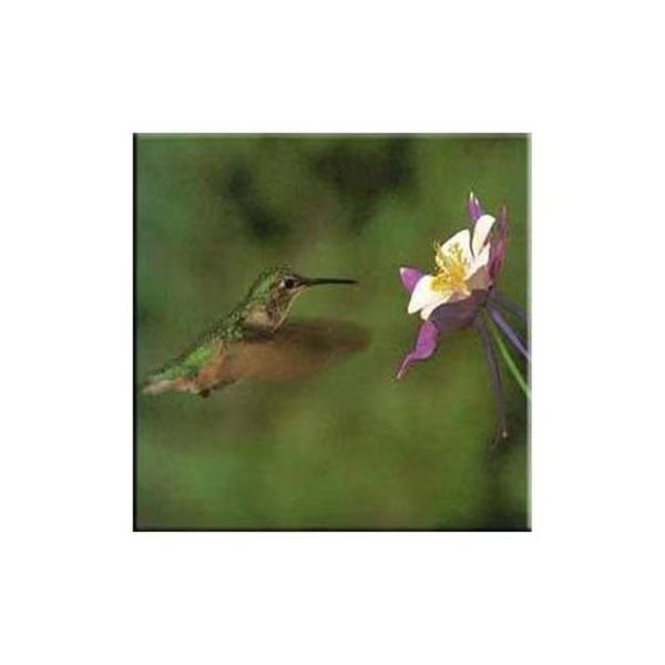 McGowan TT99826 Tuftop Hummingbird and Columbine Trivet, Mcgowan Mfg Co, Mfr#: TT99826