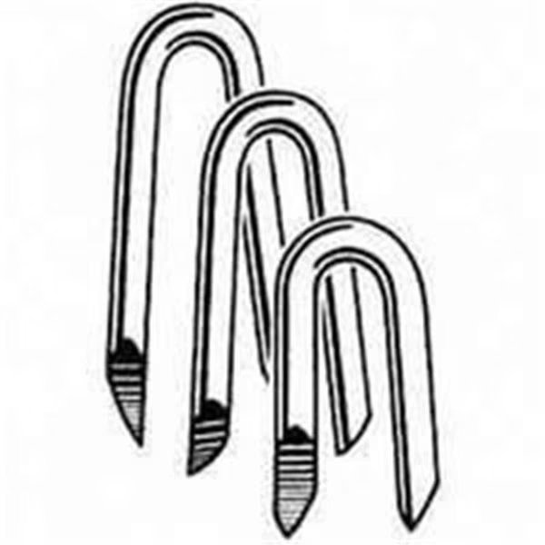 National Nail Staple Fence Eg 1-1/4 In 1Lb 79078 Pack Of 12, National Nail, Mfr#: 9922972
