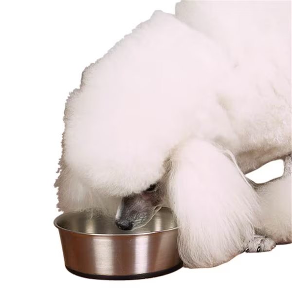 Stainless Steel Bowl with Rubber Base 9oz, Petpath, Mfr#: PE1600268