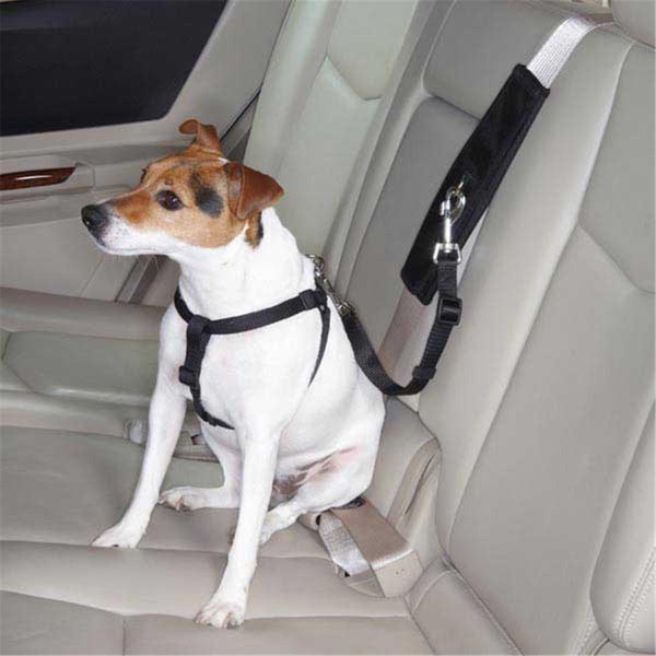 Ride Right Seat Belt Connector Black, Pamperedpets, Mfr#: PA929232