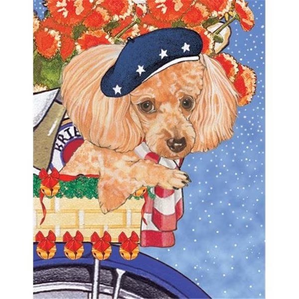 Pipsqueak Productions C884 Holiday Boxed Cards- Poodles Toy Apricot, Pipsqueak Productions, Mfr#: C884
