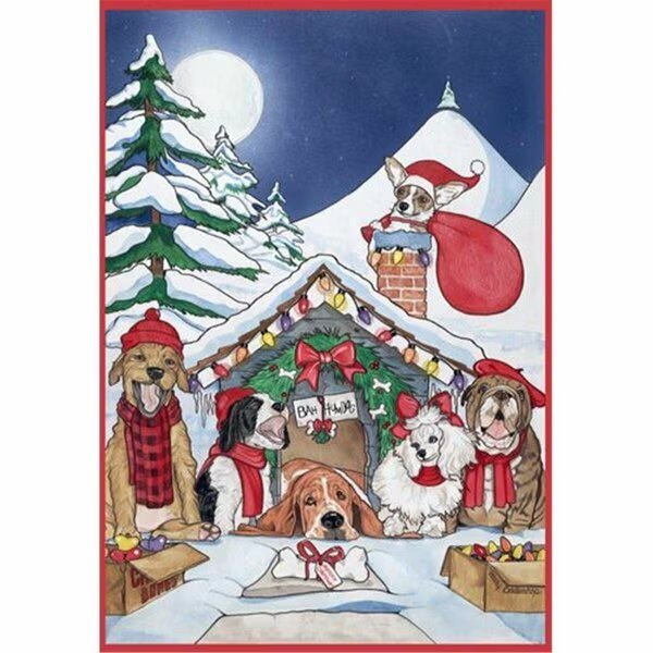 Mix Dog With Cat Holiday Boxed Cards, Pipsqueak Productions, Mfr#: C413