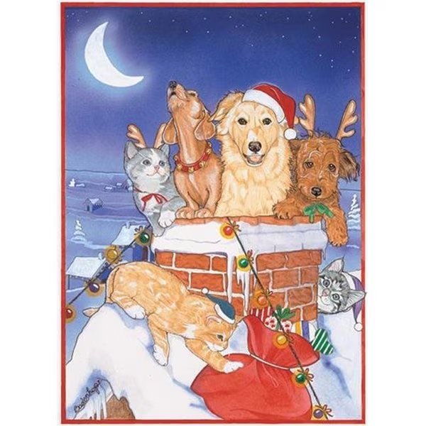 Pipsqueak Productions C492 Mix Dog With Cat Holiday Boxed Cards, Pipsqueak Productions, Mfr#: C492