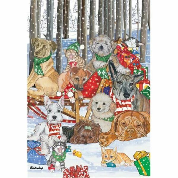 Mix Dog With Cat Holiday Boxed Cards, Pipsqueak Productions, Mfr#: C517