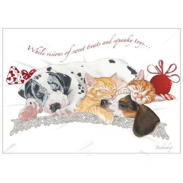 Pipsqueak Productions C534 Mix Dog With Cat Holiday Boxed Cards, Pipsqueak Productions, Mfr#: C534