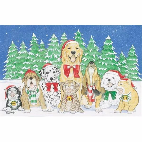 Mix Dog With Cat Holiday Boxed Cards, Pipsqueak Productions, Mfr#: C844