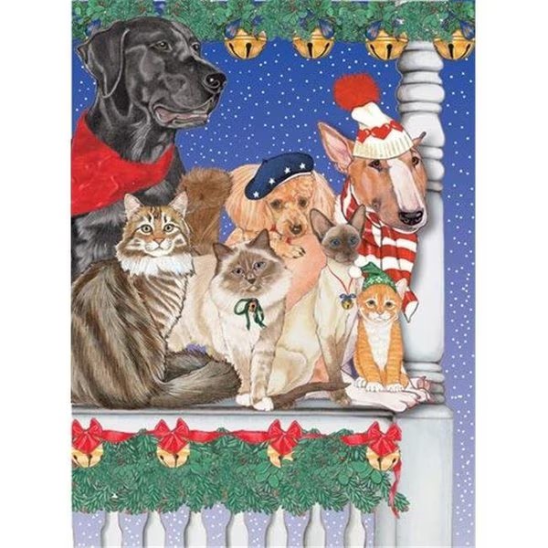 Pipsqueak Productions C875 Mix Dog With Cat Holiday Boxed Cards, Pipsqueak Productions, Mfr#: C875