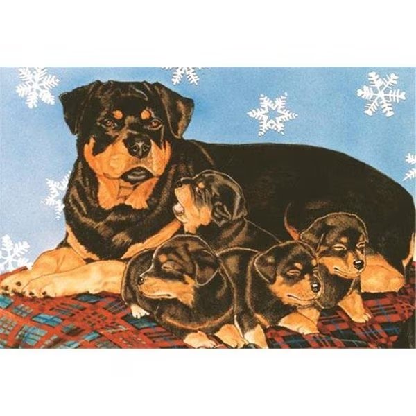 Pipsqueak Productions C906 Rottweiler Holiday Boxed Cards, Pipsqueak Productions, Mfr#: C906
