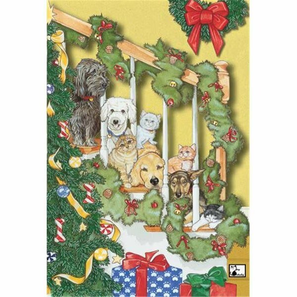 Mix Dog With Cat Holiday Boxed Cards, Pipsqueak Productions, Mfr#: C964