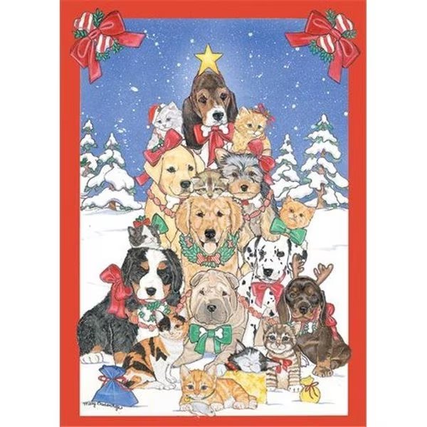 Pipsqueak Productions C979 Mix Dog With Cat Holiday Boxed Cards, Pipsqueak Productions, Mfr#: C979