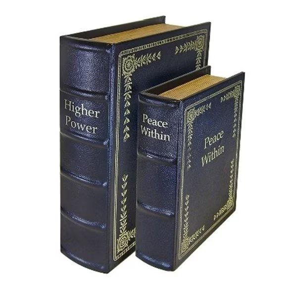 Diversion Books Gun Concealment; set of 2 - Black, Excellent Appliances, Mfr#: EX957179