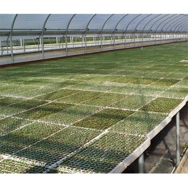 Riverstone Industries RSI RSI-ST242 Hydroponic Seed Trays - 242 plugs; 2 Pack, Riverstone Industries, Mfr#: RSI-ST242
