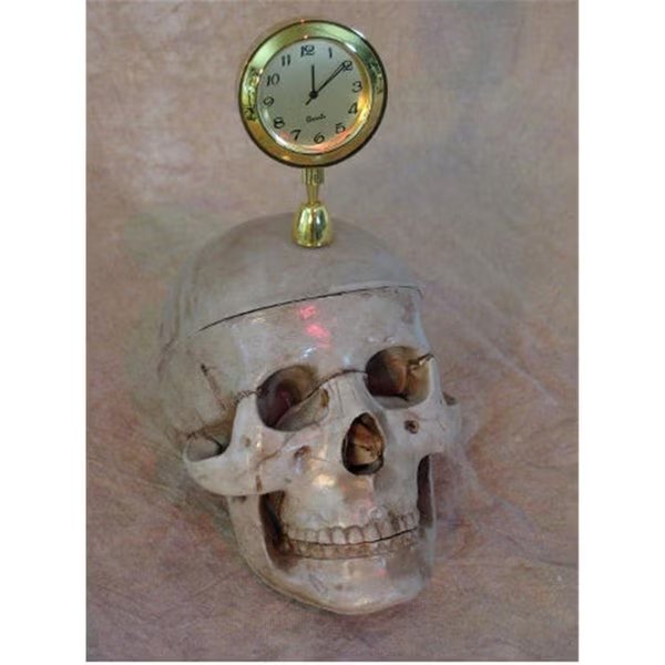 Skull with Clock, Perfectpretend, Mfr#: PE1413033