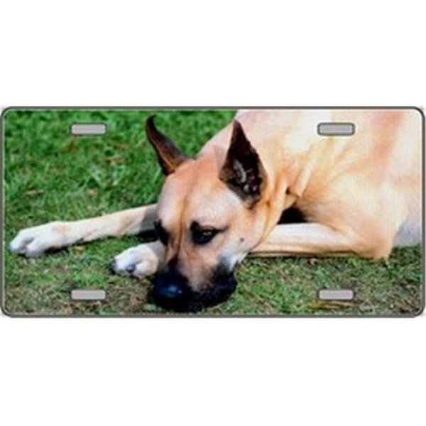 Great Dane Dog Pet Novelty License Plates- Full Color Photography License Plates, Powerhouse, Mfr#: PO516384