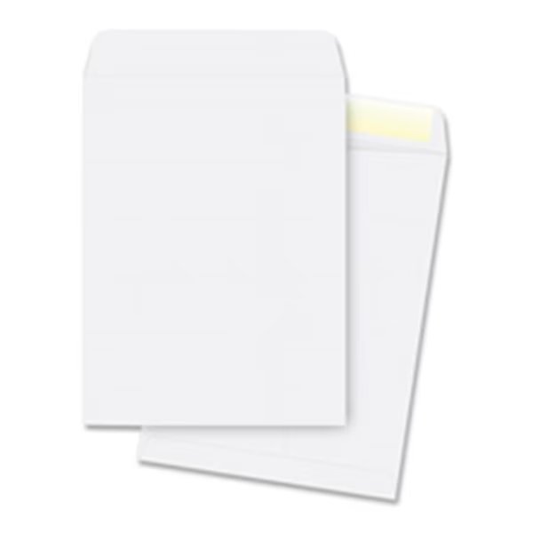 Catalog Envelopes- Plain- 28Lb.- 9 in. x 12 in.- 250-PK- WE, Business Source, Mfr#: BSN42102