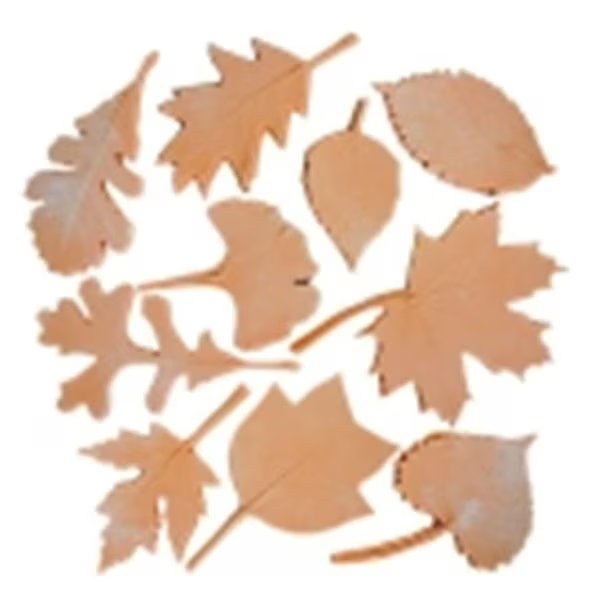 Sax Leaf Nature Impression Set 10, Sax, Mfr#: 401957
