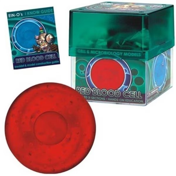 Tedco Toys 32371-RED Bio Signs Red Blood Cell Model, Tedco Toys, Mfr#: 32371RB