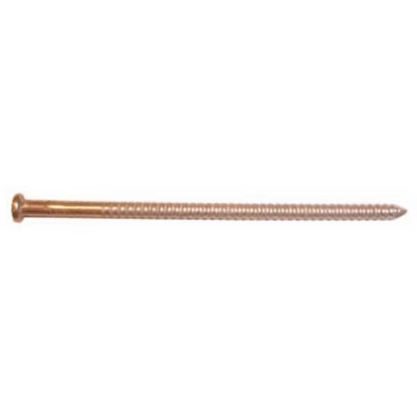 Common Nail, 2 in L, 6D, Stainless Steel, Maze Nails, Mfr#: 593491