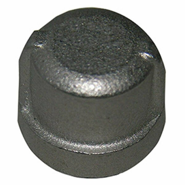 0.25 in. Stainless Steel Pipe Cap, Warren Distribution, Mfr#: 209850