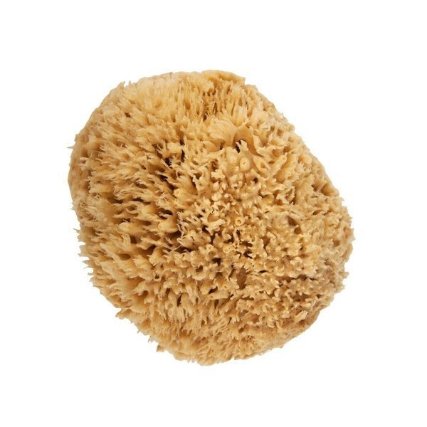 Natural Sea Wool Sponge  Medium, Xero, Mfr#: SWL - MD