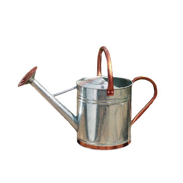 WATER CAN 1GAL GLV CPPR ACCNT, Gardman, Mfr#: W22 8326X