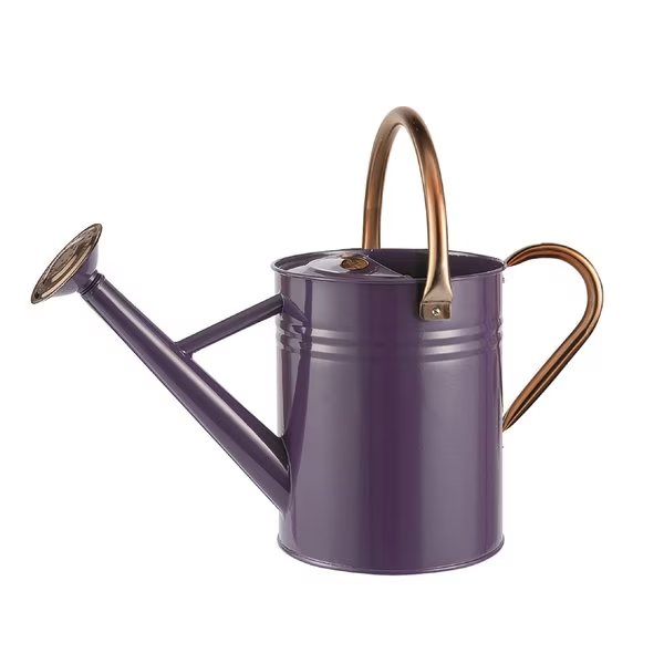 1 GALLON WATER CAN DEEP VIOLET, Gardman, Mfr#: W22 R34881X