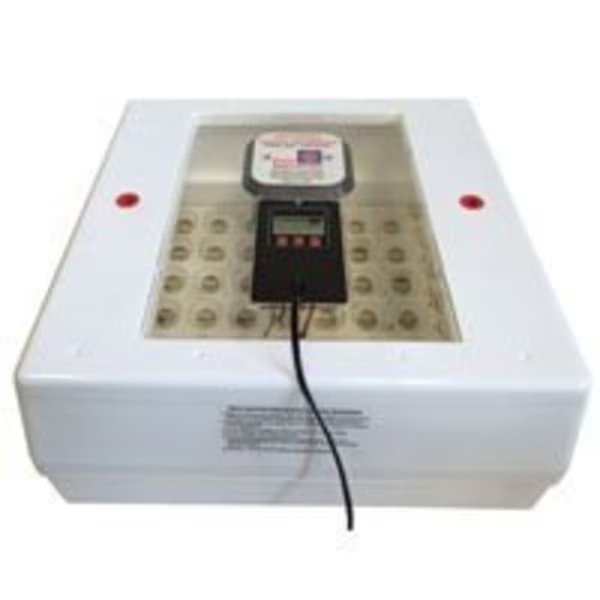 FARM INNOVATORS Pro Series 4250 Digital Incubator with Auto Egg Turner, 40 W, Polystyrene, Farm Innovators, Mfr#: 4250