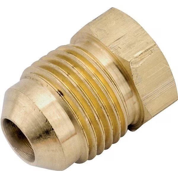 39P Series 39P8 Pipe Plug, 12 in, Flare, Brass, Watts, Mfr#: 754039-08