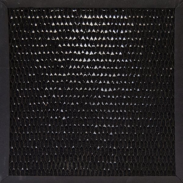 AP2500D Air Purification System Optional Activated Carbon Filter Filter, Xpower, Mfr#: CF50-595