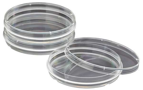 Petri Dish, 150 x 20mm, 25 to 28mL, PK100, Celltreat, Mfr#: 229653
