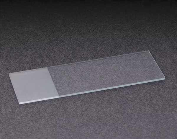 Microscope Slide, Adhesive+, PK72, Lab Safety Supply, Mfr#: 20F859