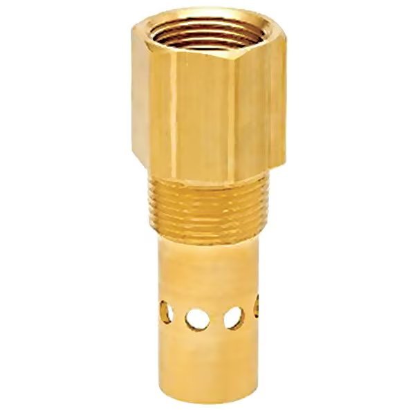 Check Valve, Intake, 3/4in, Champion Pneumatic, Mfr#: P05822B
