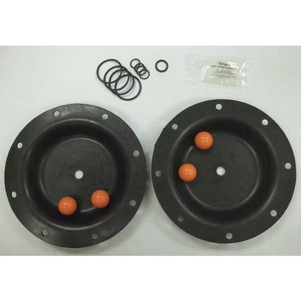 Diaphragm Pump Repair Kit, Aro, Mfr#: 637119-61-C
