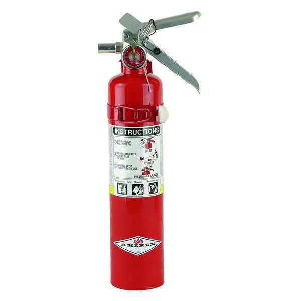 Fire Extinguisher, Class ABC, UL Rating 1A:10B:C, 195 psi, Rechargeable, 2.5 lb capacity, Amerex, Mfr#: B417T