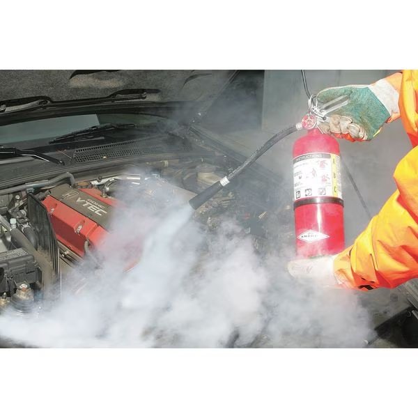 Fire Extinguisher, 2A:10B:C, Dry Chemical, 5 lb, Amerex, Mfr#: B500T