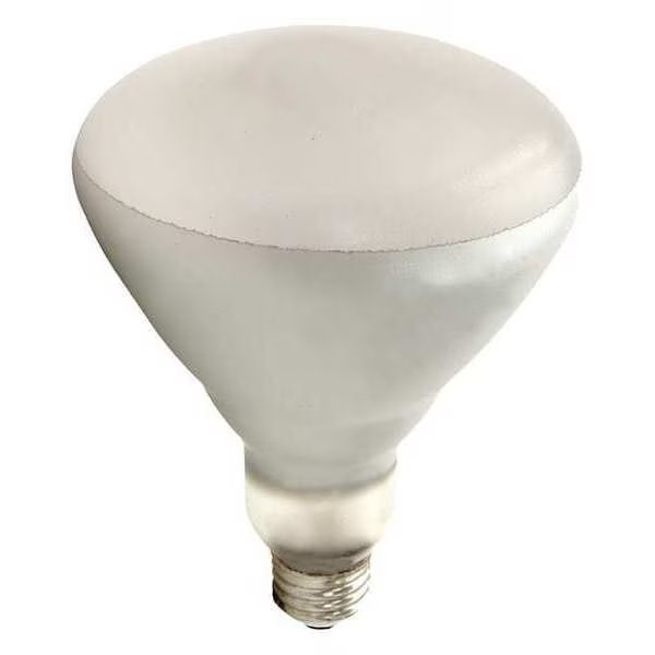 SHAT-R-SHIELD 125W, BR40 Incandescent Light Bulb, Shat-R-Shield, Mfr#: 125BR40/1